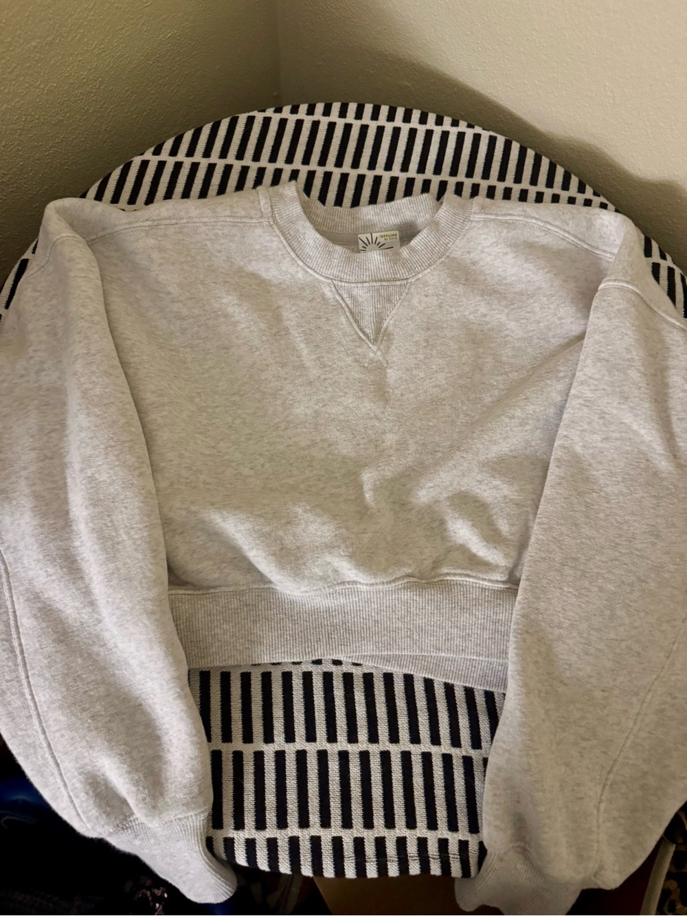 aerie Light Gray Cropped Crewneck Sweatshirt